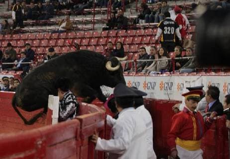 Bilder des Tages The bull Trueno with 555 Kg, jumps over a barrier, during the eight corrida of the Temporada Grande in Mexico City, Mexico, 07 January 2018. TEMPORADA GRANDE IN MEXICO CITY !ACHTUNG: NUR REDAKTIONELLE NUTZUNG!  Copyright: xMarioxGuzmánx MEX27 20180108-636509806587072049