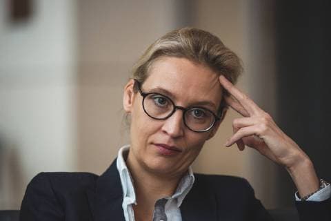 AfD Politikerin Alice Weidel im Reichstag *** AfD politician Alice Weidel in the Reichstag