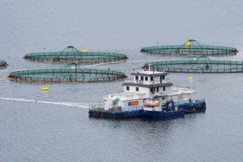 IMAGO Creative, Unsere Erde, Umweltverträgliche Herausforderungen des 21. Jahrhunderts, Überfischung Lachsfarm am Kvaenangen, Norwegen, Finnmark, Kvaenangen salmon farm in Kvaenangen, Norway, Finnmark, Kvaenangen BLWS471919 Copyright: xblickwinkel H.xBaesemannx