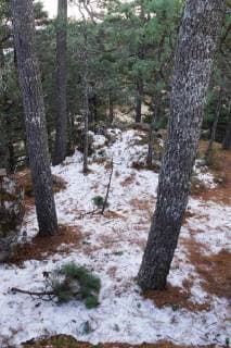 Wintereinbruch in Oaxaca, Mexiko January 15, 2018 - EUM20180115NAC04.JPG.OAXACA, Oax., Frost Helada-Oaxaca.- Aspectos de la helada que cayo sobre la Sierra Juarez de Oaxaca la manana de este lunes 15 de enero de 2018. El Servicio Meteorologico Nacional informo que durante el amanecer, las temperaturas oscilaron entre los -4 y -5 grados centigrados en esta region. Foto: Agencia EL UNIVERSAL EVZ  - ZUMAu78_ 20180115_zaf_u78_008 Copyright: xEdwinxHernandezx