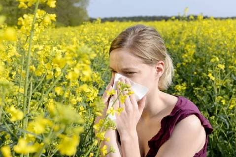 junge frau niest young woman has hay fever MODEL RELEASED *** young woman sneezes young woman has hay fever MODEL RELEASED