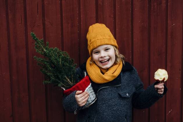 Laughing boy standing in front of wooden wall with potted Chritsmas tree and candied apple model released Symbolfoto  MJF02251