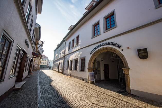 Erfurt , 190117 , Naturkundemuseum , Der Herr der Fake -Tiere , Eine Werkschau des Präparators Ralf Nowak Im Bild: Außenansicht