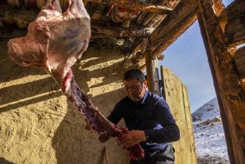 (180203) -- ILI, Feb. 3, 2018 -- A herder prepares lamb for guests at home in Akyaz Valley, Zhaosu County, northwest China s Xinjiang Uygur Autonomous Region, Jan. 17, 2018. About 130 kilometers from the nearest town, Akyaz Valley is an important winter grazing place for herders in Zhaosu County, Xinjiang. Despite an altitude of 2,000 meters, the Akyaz Valley has a warmer climate than surrounding areas and abundant grass and water. It is sometimes referred to as the valley of life. For centuries, herding has been an ancestral tradition for nomadic Kazakhs in Zhaosu. Migration begins in October, and more than 10,000 people drive 400,000 cattle and sheep to their winter homes, not leaving until May the next year. ) (wyo)(zt) CHINA-XINJIANG-AKYAZ VALLEY-WINTER GRAZING (CN) HuxHuhu 