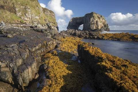 The Great Pollet Sea Arch on the Fanad Headland and part of the Wild Atlantic Way, County Donegal, Ulster, Republic of Ireland, Europe Copyright: DavidxSpeight 1266-45