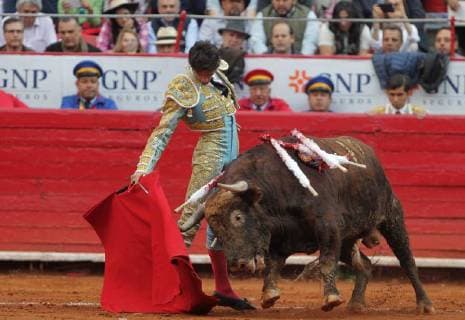 French bullfighter Sebastian Castella in action during the run of the 72nd Anniversary of the Plaza de Toros Mexico, in Mexico City, Mexico, 05 February 2018. Big Season at the Plaza de Toros Mexico !ACHTUNG: NUR REDAKTIONELLE NUTZUNG!  Copyright: xMARIOxGUZMAMx CMX020 20180206-636534876457195528
