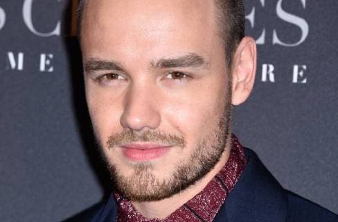 Fifty Shades of Grey 3 Premiere in Paris Liam Payne ( chanteur ) lors du photocall pour l avant premiere du film 50 NUANCES PLUS CLAIRES a Paris CELEBRITES : Avant premiere du film 50 NUANCES PLUS CLAIRES - Paris - 06 02 2018 FedericoPestellini Panoramic 