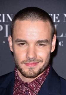 Fifty Shades of Grey 3 Premiere in Paris Liam Payne ( chanteur ) lors du photocall pour l avant premiere du film 50 NUANCES PLUS CLAIRES a Paris CELEBRITES : Avant premiere du film 50 NUANCES PLUS CLAIRES - Paris - 06 02 2018 FedericoPestellini Panoramic 