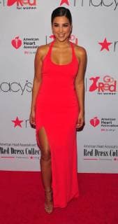 NEW YORK, NY - February 8: Liz Hernandez attends the Red Dress Go Red For Women Fashion Show at Hammerstein Ballroom on February 8, 2018 in New York City Copyright: xJohnxPalmerx