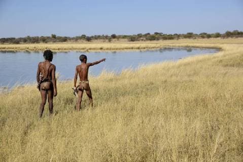 IMAGO Nature: Unsere Erde, Naturschutz, Indigene Völker Buschleute der Ju/ Hoansi-San bei einer traditionellen Jagd, Dorf //Xa/oba, bei Tsumkwe, Otjozondjupa Region, Namibia, Afrika *** Bushmen of Ju Hoansi San at a traditional hunting village XA begun at Tsumkwe Otjozondjupa region of Namibia Africa Copyright: imageBROKER/FabianxvonxPoser iblfvp04637874.jpg