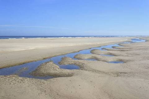 Strand bei Ebbe, Nordsee, Norderney, Ostfriesische Inseln, Niedersachsen, Deutschland, Europa Copyright: imageBROKER/Frederik ibxrba04636650.jpg