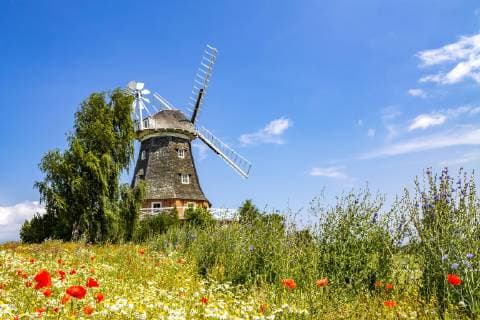 Germany, Mecklenburg-Western Pomerania, Windmill Kluetz  PUF01200