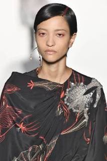 Paris Fashion Week. Défile PAP Automne Hiver 2018 19. DRIES VAN NOTEN. Editorial use only Copyright: xGuyxMarineaux STAR_224619_056