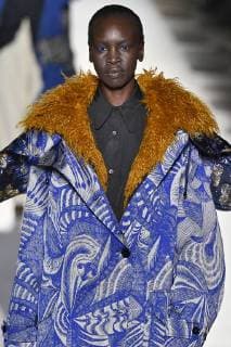 Paris Fashion Week. Défile PAP Automne Hiver 2018 19. DRIES VAN NOTEN. Editorial use only Copyright: xGuyxMarineaux STAR_224619_067