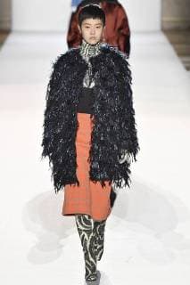 Paris Fashion Week. Défile PAP Automne Hiver 2018 19. DRIES VAN NOTEN. Editorial use only Copyright: xGuyxMarineaux STAR_224619_084