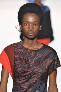 Paris Fashion Week. Défile PAP Automne Hiver 2018 19. DRIES VAN NOTEN. Editorial use only Copyright: xGuyxMarineaux STAR_224619_095