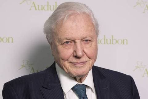 2018 The National Audubon Society Annual Gala New York, NY - March 1, 2018: Sir David Attenborough attends National Audubon Society Annual Gala at Rainbow Room New York New York China Rainbow Room  LevxRadin
