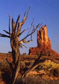 IMAGO Nature: Unsere Erde, Naturschutz, Naturschutzgebiete in Nordamerika USA - Monument Valley - Utah, Arizona CW, United States Copyright: Topfoto  !ACHTUNG AUFNAHMEDATUM GESCHÄTZT! UnitedArchives0953366