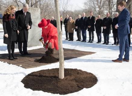 Canada Governor General Julie Payette, King Philippe - Filip of Belgium and Queen Mathilde of Belgium pictured during a ceremonial tree planting on the Rideau Hall Grounds on the first day of a state visit of the Belgian Royals to Canada in Ottawa, Canada, Monday 12 March 2018.  BENOITxDOPPAGNE 05311792