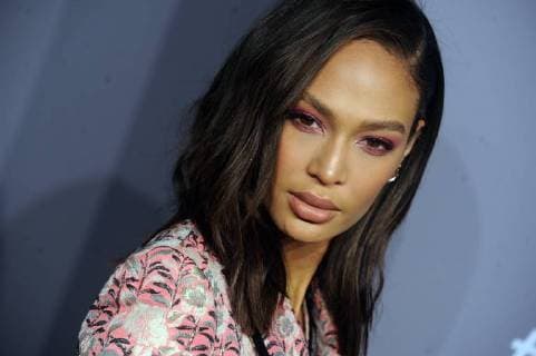 December 31, 2008 - Manhattan, New York, United States Of America - NEW YORK, NY - FEBRUARY 07: (EMBARGOED TILL 02 09 18) Joan Smalls attends the 2018 amfAR Gala New York at Cipriani Wall Street on February 7, 2018 in New York City....People: Joan Smalls..Transmission Ref: MNC1..Must call if interested Manhattan United States Of America - ZUMAs214 20081231_zab_s214_265 Copyright: xSMGx
