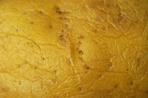 Kartoffelschale, Bio Copyright: xKTHx ALLF916178