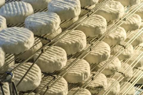 Käse Herstellung *** Cheese making Copyright: xPBAx ALLPB600521