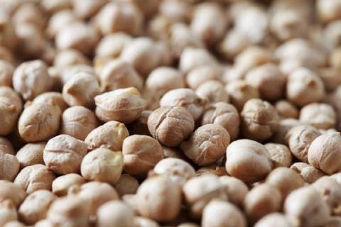 IMAGO Nature: Unsere Erde, Klimawandel, Ernährung, Pflanzen der Zukunft, Kichererbse Chick-peas, close-up  CSF28857
