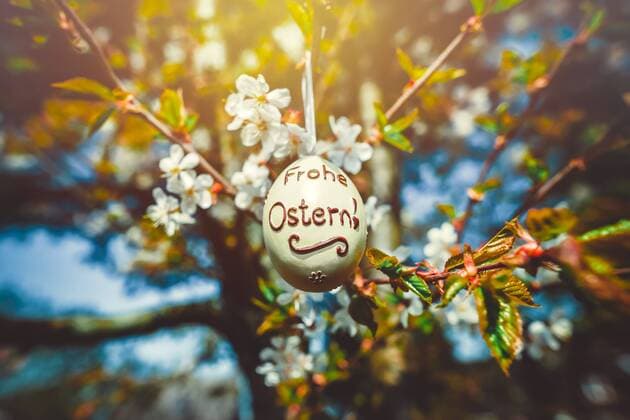 Osterei an einer blÃ¼henden Kirsche *** Easter egg on a blossoming cherry ** NUR FUER REDAKTIONELLE ZWECKE ** EDITORIAL USE ONLY **