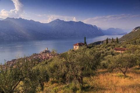 Elevated view of Castello Scaligero (Scaliger Castle), Malcesine, Lake Garda, Veneto, Italian Lakes, Italy, Europe Copyright: FrankxFell 844-14710