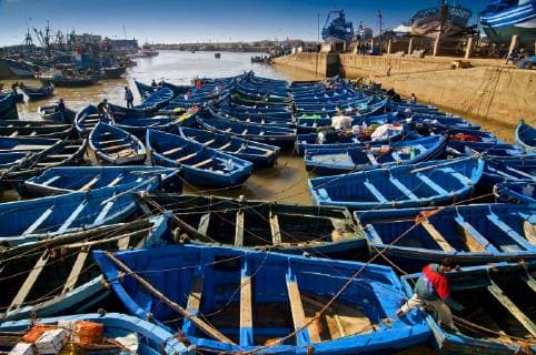 Fishing blue boats in Marocco. Lots of blue fishing boats in the port of Essaouira, Morocco.  BEW1D215E67