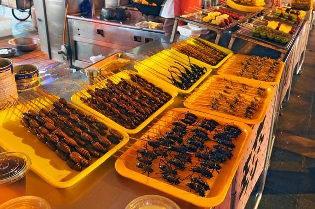Food at the Donghuamen Night Market near Wangfujing Street in Beijing, China.  BEW1D215F1C