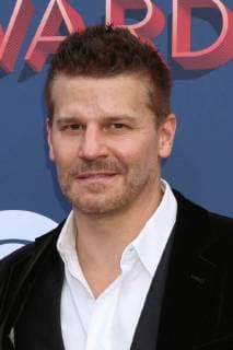 LAS VEGAS - APR 15: David Boreanaz at the Academy of Country Music Awards 2018 at MGM Grand Garden Arena on April 15, 2018 in Las Vegas, NV  Copyright: xKathyxHutchinsx xIPAx xHutchinsxPhotox