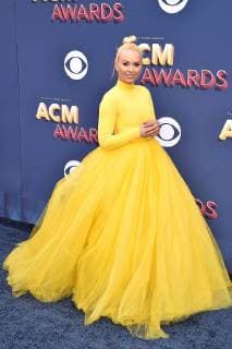 Lindsey Vonn bei den Country Music Awards am 15.04.2018 in Las Vegas 53rd Academy Of Country Music Awards 2018 in Las Vegas