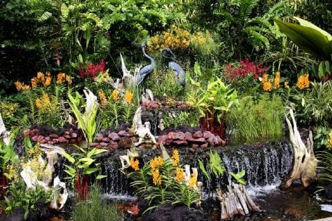 Orchideengarten von Singapur, Singapur national orchid garden Singapure, Singapore BLWS479072 Copyright: xblickwinkel E.xTeisterx
