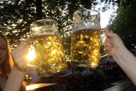 Zuprosten mit zwei Maßkrügen Bier in der Abendsonne eines warmen Frühlingstag im Biergarten Königlicher Hirschgarten in München, Bayern, Deutschland *** Two measure mugs of beer in the evening sun of a warm spring day in the beer garden. Royal deer garden in Munich. Bavaria. Germany
