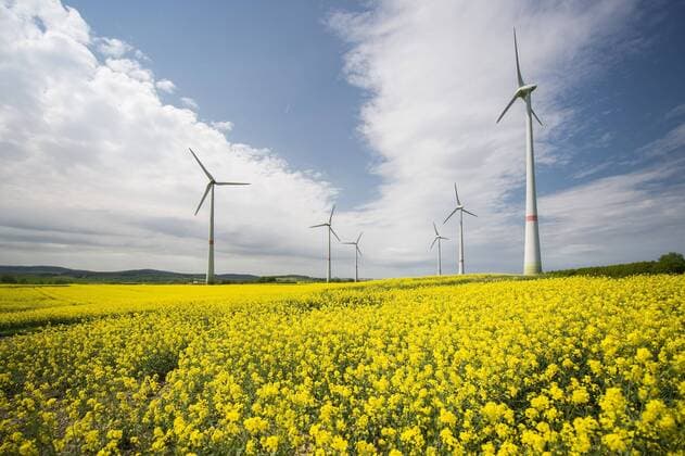 Windraeder im Rapsfeld, aufgenommen in Schoepstal, 30.04.2018. Schoepstal Deutschland *** Windraeder in rapeseed field shot in Schoepstal 30 04 2018 Schoepstal Germany Copyright: xFlorianxGaertner photothek.netx