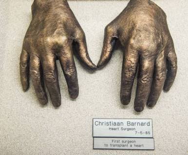 May 06, 2018 - Dallas, Texas, U.S. - The bronzed hands of heart surgeon CHRISTIAAN BARNARD on display at the George W. Truett Memorial Hospital at the Baylor University Medical Center. The more than 100 bronze cast hands of well known persons from the fields of politics, sports, the arts and exploration were the work of orthopedic surgeon Adrian E. Flatt (1921-2017), whose specialty was hand surgery. Dallas U.S. - ZUMAce6_ 20180506_zaf_ce6_050 Copyright: xBrianxCahnx