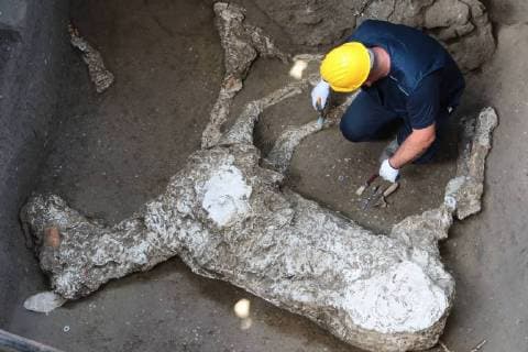 Themen der Woche KW 19 Bilder des Tages The archaeological area of ‹‹the new excavations of Civita Giuliana, north of the archaeological site of the Pompeii excavations. An investigation of the Carabinieri on the tunnels dug by the tombaroli has brought to light an ancient villa, and it was possible to make the cast of a dead horse because of the eruption. It was also found a tomb dating back about 50-100 years after the eruption, with inside the bones of the deceased, first evidence of a repopulation of the area devastated by the terrible eruption of Vesuvius in 79 AD Pompei.10.10 2018 - Naples, Italy  Copyright: xCarloxHermannx xIPAx xKontrolabx