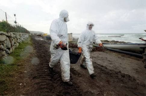 Freiwillige Helfer der spanischen Umweltorganisation Tragsa reinigen am Donnerstag (12.12.2002) einen Küstenabschnitt bei Mougas (Galicien), der vom Öl des gesunkenen Tankers Prestige verseucht ist. Zur Reinigung stehen ihnen nur einfachste Hilfsmittel zur Verfügung. Es fehlt überall an Geräten um die Strände vom Oel zu säubern. Deswegen gerät die Regierung um Ministerpräsident José-Maria Aznar immer mehr unter Druck.