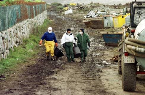 Freiwillige Helfer der spanischen Umweltorganisation Tragsa reinigen am Freitag (13.12.2002) einen Küstenabschnitt bei Mougas (Galicien), der vom Oel des gesunkenen Tankers Prestige verseucht ist. Zur Reinigung stehen ihnen nur einfachste Hilfsmittel zur Verfügung. Es fehlt überall an Geräten um die Strände vom Oel zu säubern. Aus dem Tanker läuft noch immer Öl aus.