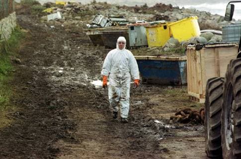 Freiwillige Helfer der spanischen Umweltorganisation Tragsa reinigen am Freitag (13.12.2002) einen Küstenabschnitt bei Mougas (Galicien), der vom Oel des gesunkenen Tankers Prestige verseucht ist. Zur Reinigung stehen ihnen nur einfachste Hilfsmittel zur Verfügung. Es fehlt überall an Geräten um die Strände vom Oel zu säubern. Aus dem Tanker läuft noch immer Öl aus.
