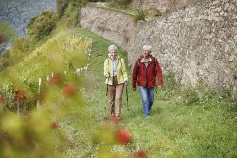 Germany, Rheingau, happy senior couple hiking together model released Symbolfoto  RORF01244
