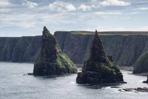 Zerklüftete Küstenlandschaft mit den Felsnadeln Duncansby Stacks, Küste von Duncansby Head, Grafschaft Caithness, Schottland, Großbritannien, Europa Copyright: imageBROKER/MarkusxKeller ibxmkl04608983.jpg