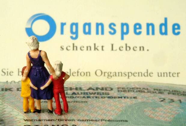 In Deutschland warten viele Menschen auf ein Spenderorgan. Jedoch sind nur wenige bereit, einen Organspendeausweis mit sich zu führen und somit ihre Organe im Falle eines Unfalls zu spenden. Organspende, Organspendeausweis, Transplantation, Symbol. *** In Germany, many people are waiting for a donor organ However, few are willing to carry an organ donor card and thus donate their organs in the event of an accident organ donation organ donor transplant symbol