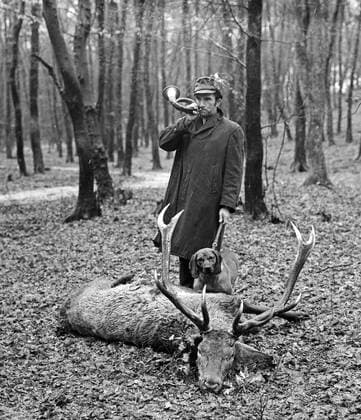 Jaeger mit Bayrischem Gebirgsschweisshund blaest das Jagdhorn am erlegten Rothirsch Jagdhorn *** Jaeger with Bavarian mountain sweat dog blows the hunting horn at the killed red deer hunting horn