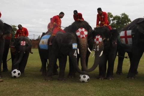 Thailand: World Cup elephant Elephants play soccer with Thai students at a school in Thailand s Ayutthaya province. The match was held as part of a campaign to promote the 2018 World Cup and also to discourage gambling during the competition. Ayutthaya Thailand  ChaiwatxSubprasom