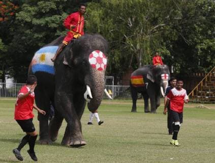 Entertainment Themen der Woche KW24 Entertainment Bilder des Tages Thailand: World Cup elephant Elephants play soccer with Thai students at a school in Thailand s Ayutthaya province. The match was held as part of a campaign to promote the 2018 World Cup and also to discourage gambling during the competition. Ayutthaya Thailand  ChaiwatxSubprasom