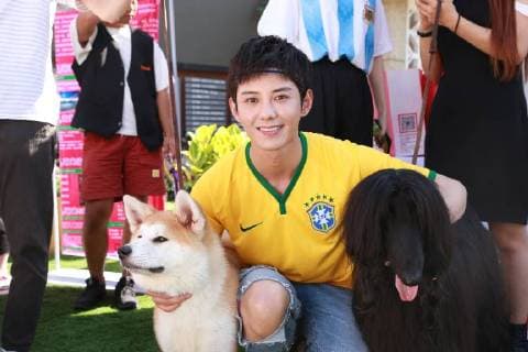 June 13, 2018 - Beijin, Beijin, China - Beijing, CHINA-13th June 2018: Dogs attend a special World Cup football game in Beijing, China, June 13th, 2018. Beijin China  - ZUMAs145 20180613_zaa_s145_115 Copyright: xLiaoxBaojunx