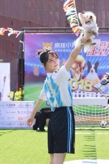 June 13, 2018 - Beijin, Beijin, China - Beijing, CHINA-13th June 2018: Dogs attend a special World Cup football game in Beijing, China, June 13th, 2018. Beijin China  - ZUMAs145 20180613_zaa_s145_118 Copyright: xLiaoxBaojunx