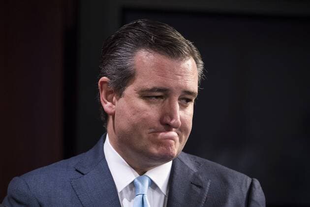 Sen. Ted Cruz, R-Tex., is seen during press conference on Capitol Hill in Washington, D.C. on June 19, 2018. Cruz introduced emergency legislation to end family separation for those who are detained for allegedly illegally crossing the border between Mexico and the United State.  WAP20180619309 KEVINxDIETSCH